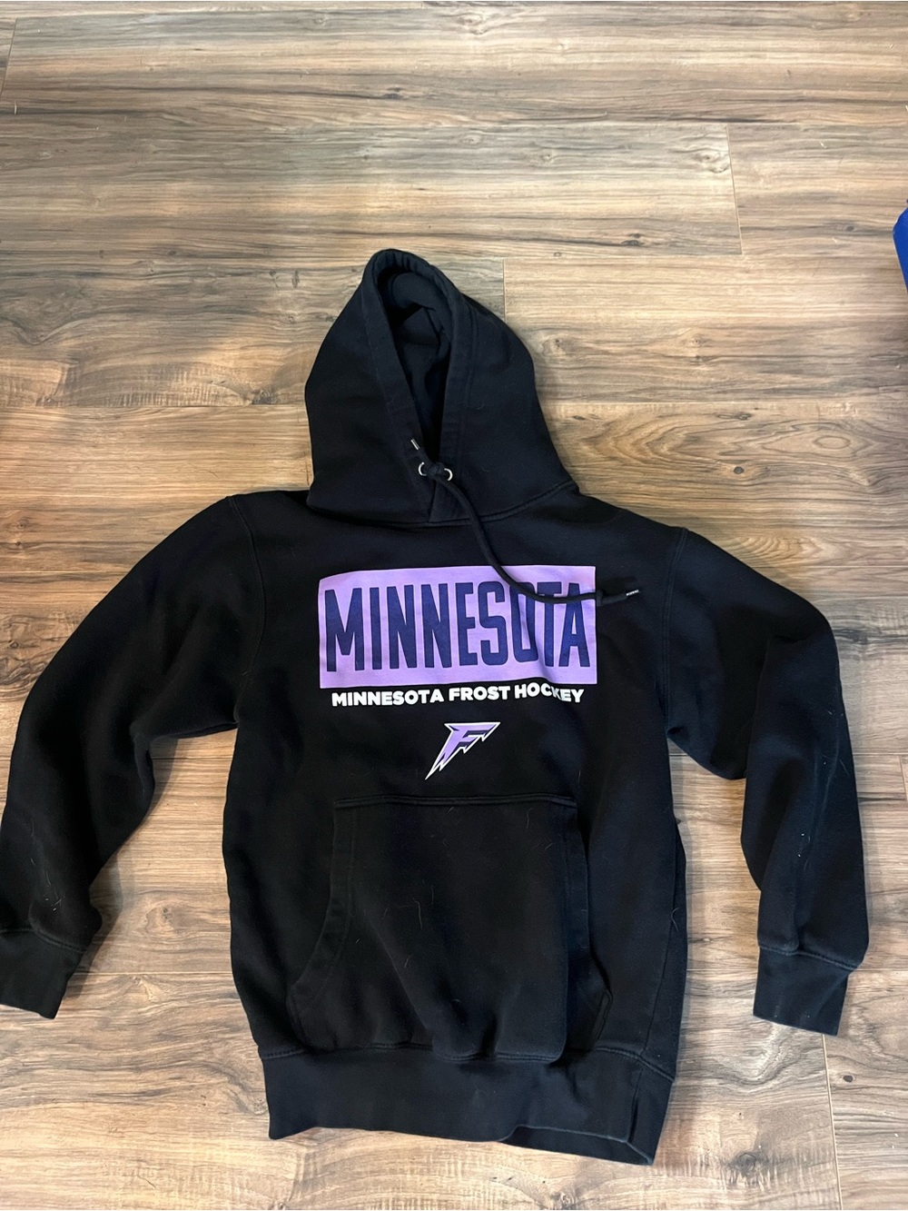 Stadium Essentials Minnesota Frost Hockey Hoodie